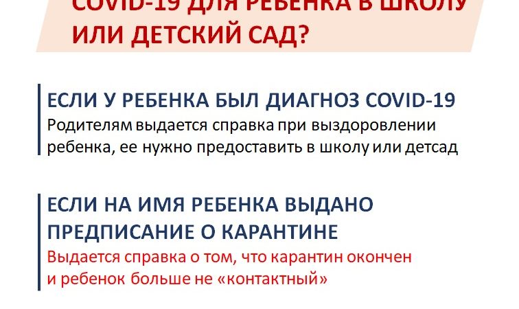 Давид Мелик-Гусейнов: «Минздрав открыл телефонную линию по вопросам получения справок в детсады и школы»