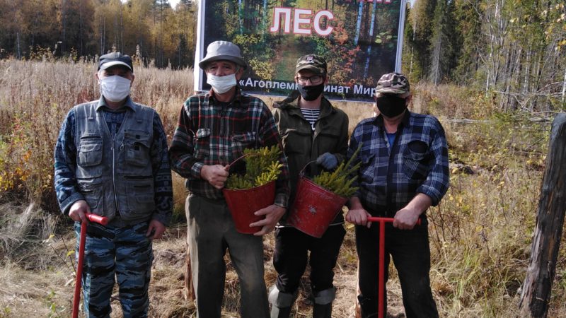 Глеб Никитин: «В Нижегородской области высадили более 200 тысяч деревьев в рамках акции «Сохраним лес» Лес высаживают нынешней осенью на площади более 1000 га