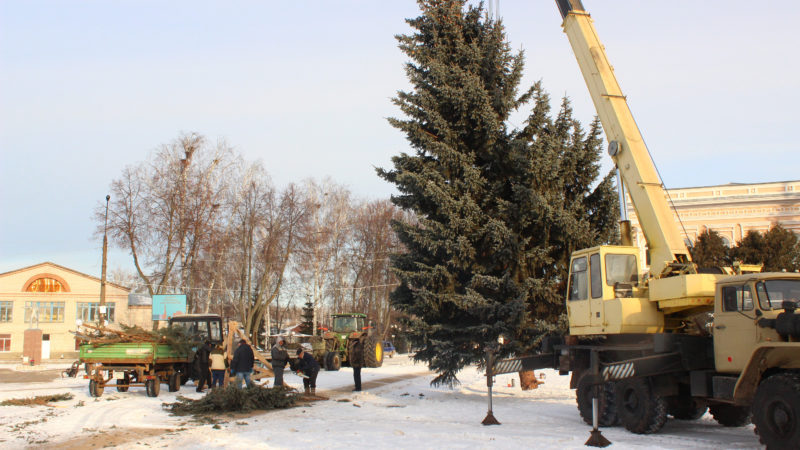 Особенно статна   и красива оказалась в этом году елка на центральной площади города