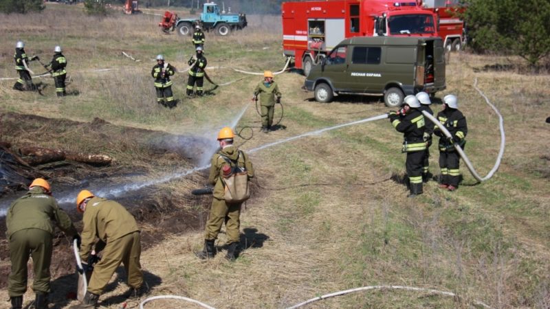 Более 80 случаев горения сухой растительности было зафиксировано в Нижегородской области с начала апреля