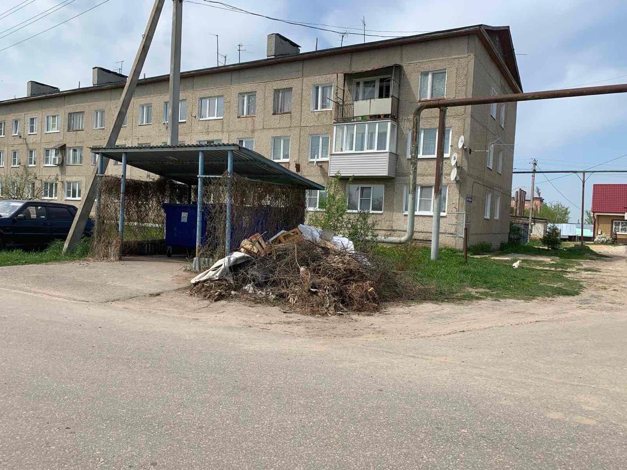 Министр экологии Нижегородской области Денис Егоров поручил до конца недели ликвидировать навалы мусора в регионе