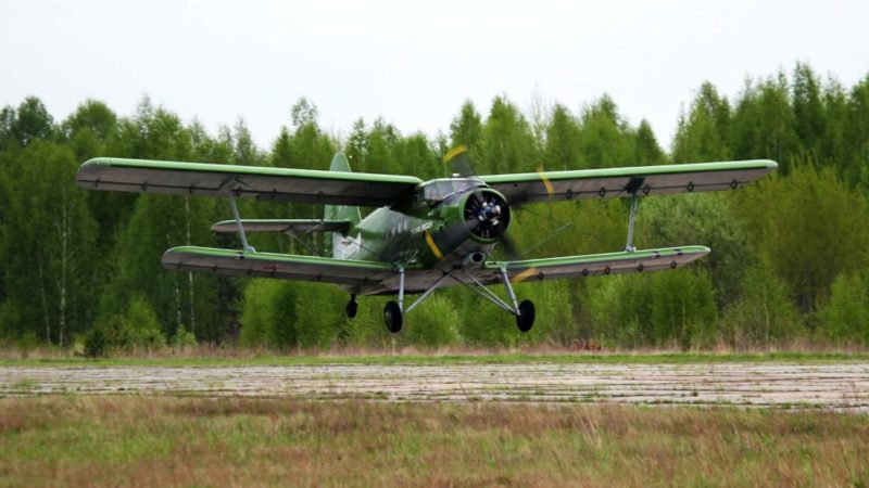 Авиапатрулирование лесов началось в Нижегородской области