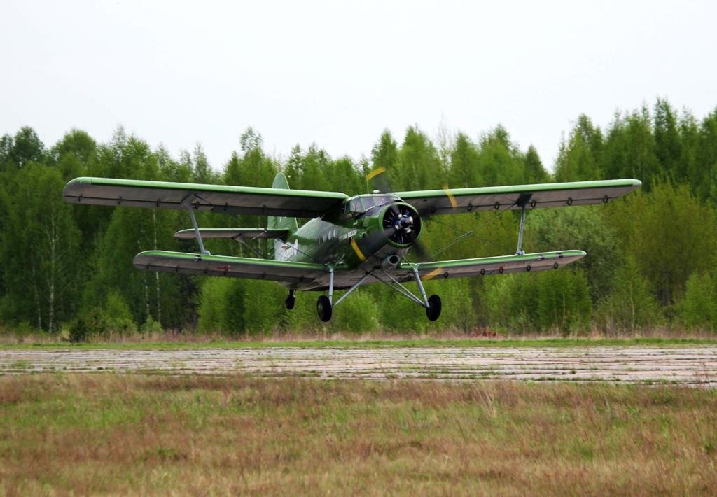 Авиапатрулирование лесов началось в Нижегородской области