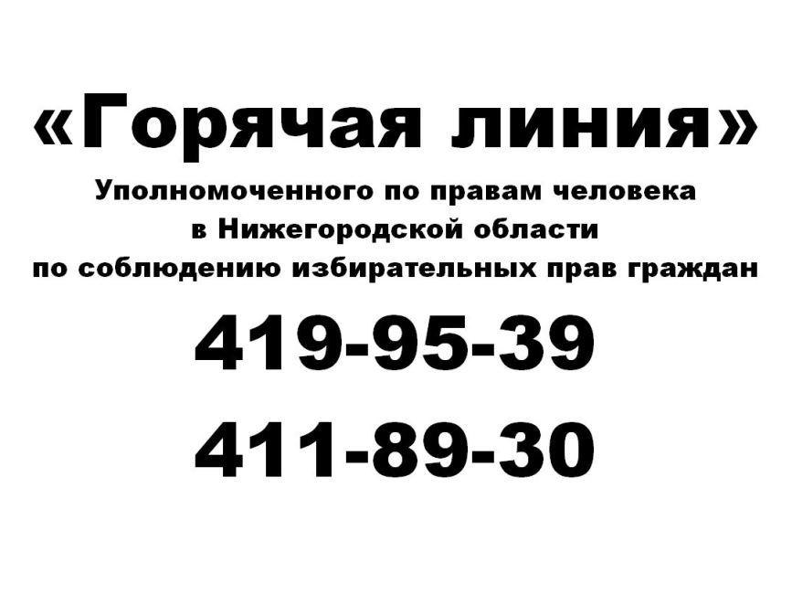 Нижегородский омбудсмен проводит горячую телефонную линию по соблюдению избирательных прав граждан