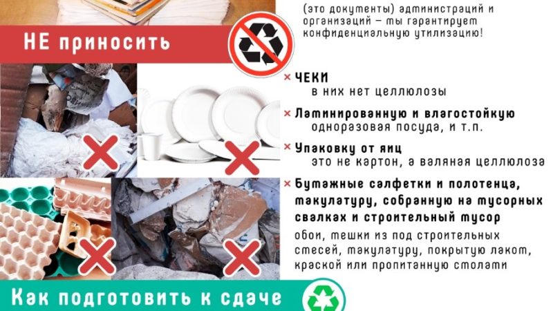 В Нижегородской области стартует экомарафон «Сдай макулатуру – спаси дерево!»