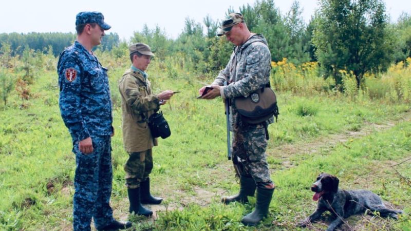 В Нижегородской области началась выдача разрешений на добычу пернатой дичи с оружейными собаками