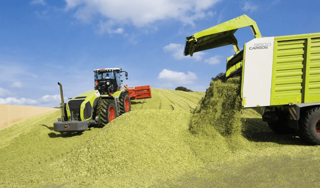 План по заготовке кормов для сельхозживотных перевыполнен в Нижегородской области