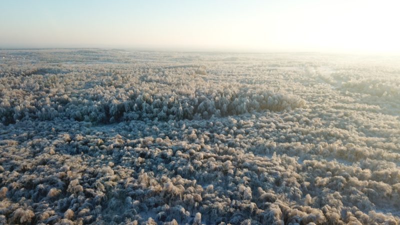 Две штабные машины поступят на вооружение лесопожарных станций Нижегородской области весной 2023 года