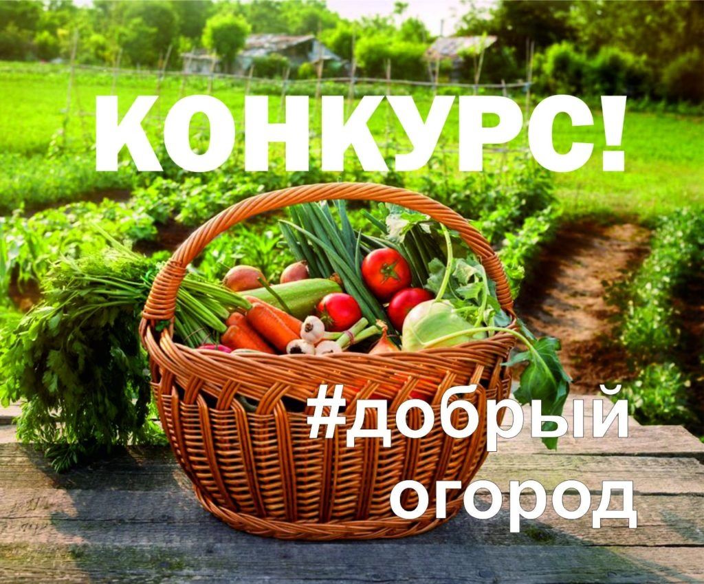 Нижегородцы могут принять участие во Всероссийском проекте «Добрый огород»