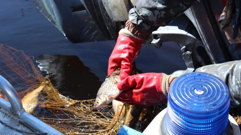 В Нижегородской области сняты ограничения на рыбную ловлю