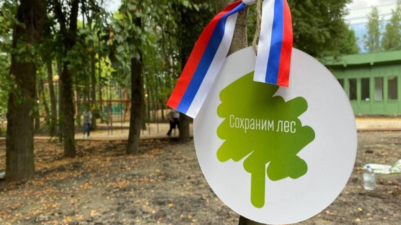 В Нижегородской области стартовала ежегодная всероссийская акция «Сохраним лес»