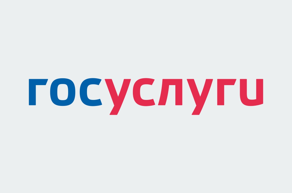 Нижегородцы могут оформить более 40 новых госуслуг в формате онлайн