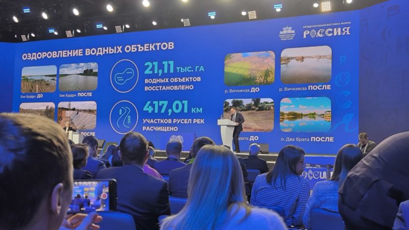 Расчистку русла Вичкинзы в Нижегородской области отметили в числе лучших практик по оздоровлению рек на Дне экологии на ВДНХ