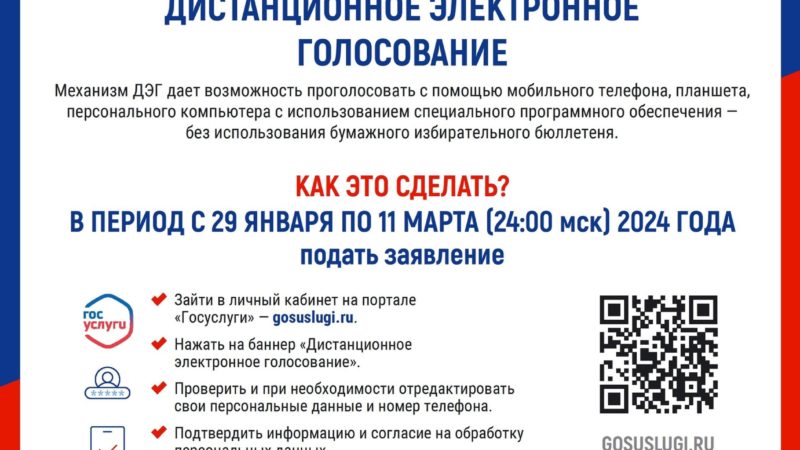 5 и 6 марта нижегородцы смогут принять участие в тестовом дистанционном электронном голосовании