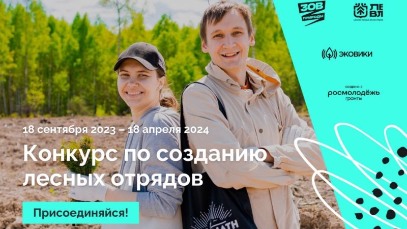 Нижегородцев приглашают присоединиться к сообществу лесных волонтеров