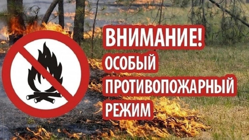 На территории Нижегородской области введен особый противопожарный режим