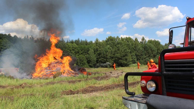 В Нижегородской области утвержден план противопожарного обустройства лесов