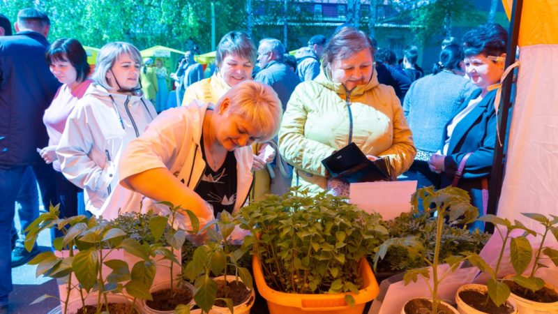 45 ярмарок «Покупайте нижегородское» пройдет в июне в регионе