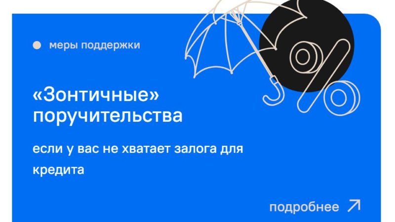 Нижегородский малый и средний бизнес в I полугодии увеличил объем привлеченных кредитов за счет «зонтичных» поручительств в 1,6 раза