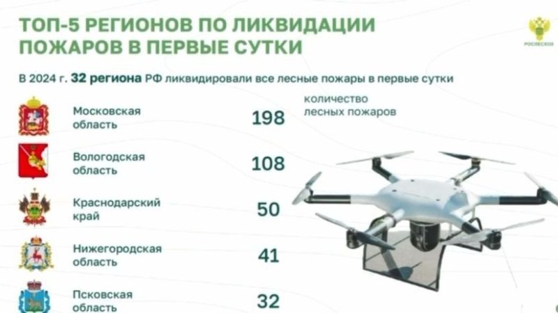 Нижегородская область вошла в топ-5 регионов страны по оперативной ликвидации лесных пожаров