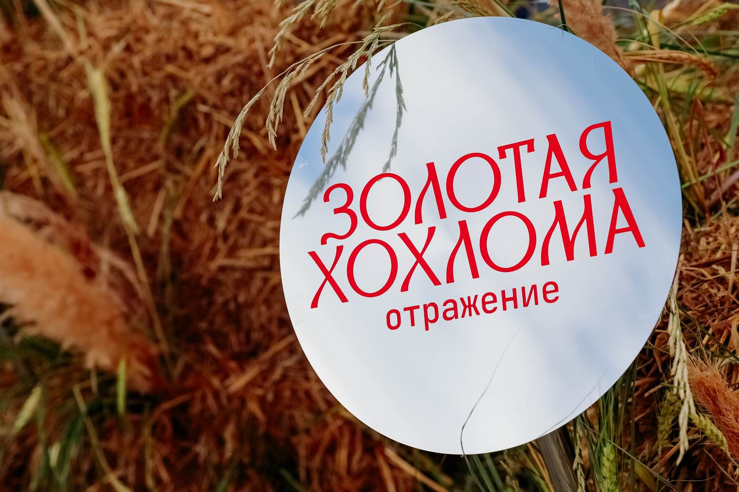 Открытие памятника Николаю Жаркову, награда фестиваля «Золотая хохлома», встреча губернатора с участниками Великой отечественной войны и другие итоги недели
