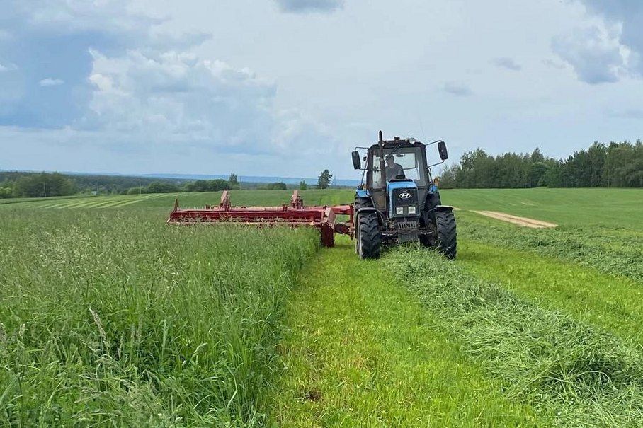 Кормозаготовительные работы начались в Нижегородской области