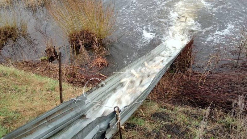 В Нижегородской области начался осенний этап зарыбления водных объектов