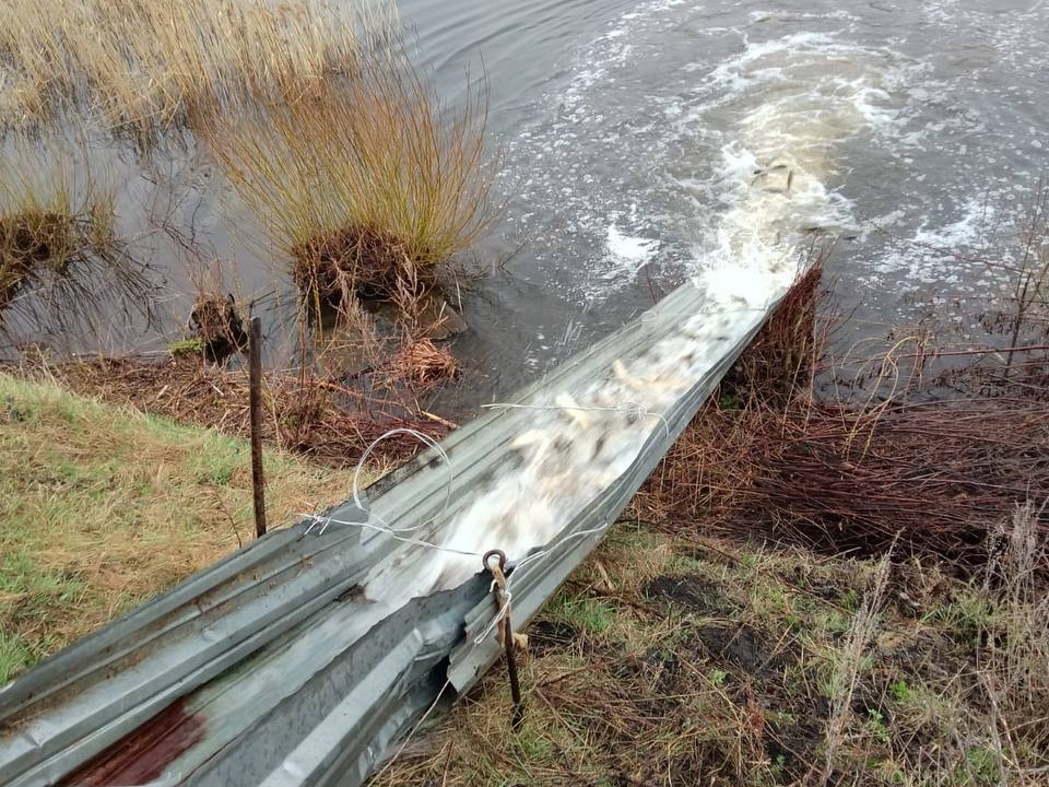 В Нижегородской области начался осенний этап зарыбления водных объектов