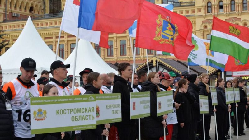 В Нижнем Новгороде за звание лучшего лесоруба России поборются более 80 профессионалов из 20 регионов России