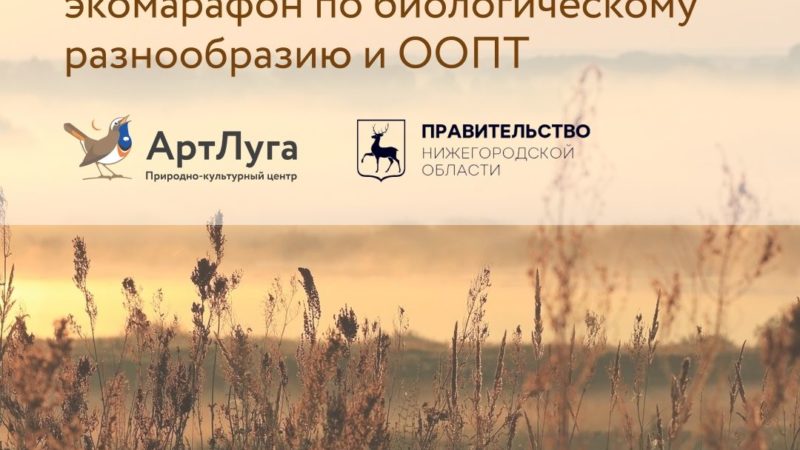 Нижегородцев приглашают присоединиться к семейному экомарафону по сохранению природного наследия«В гостях у природы»