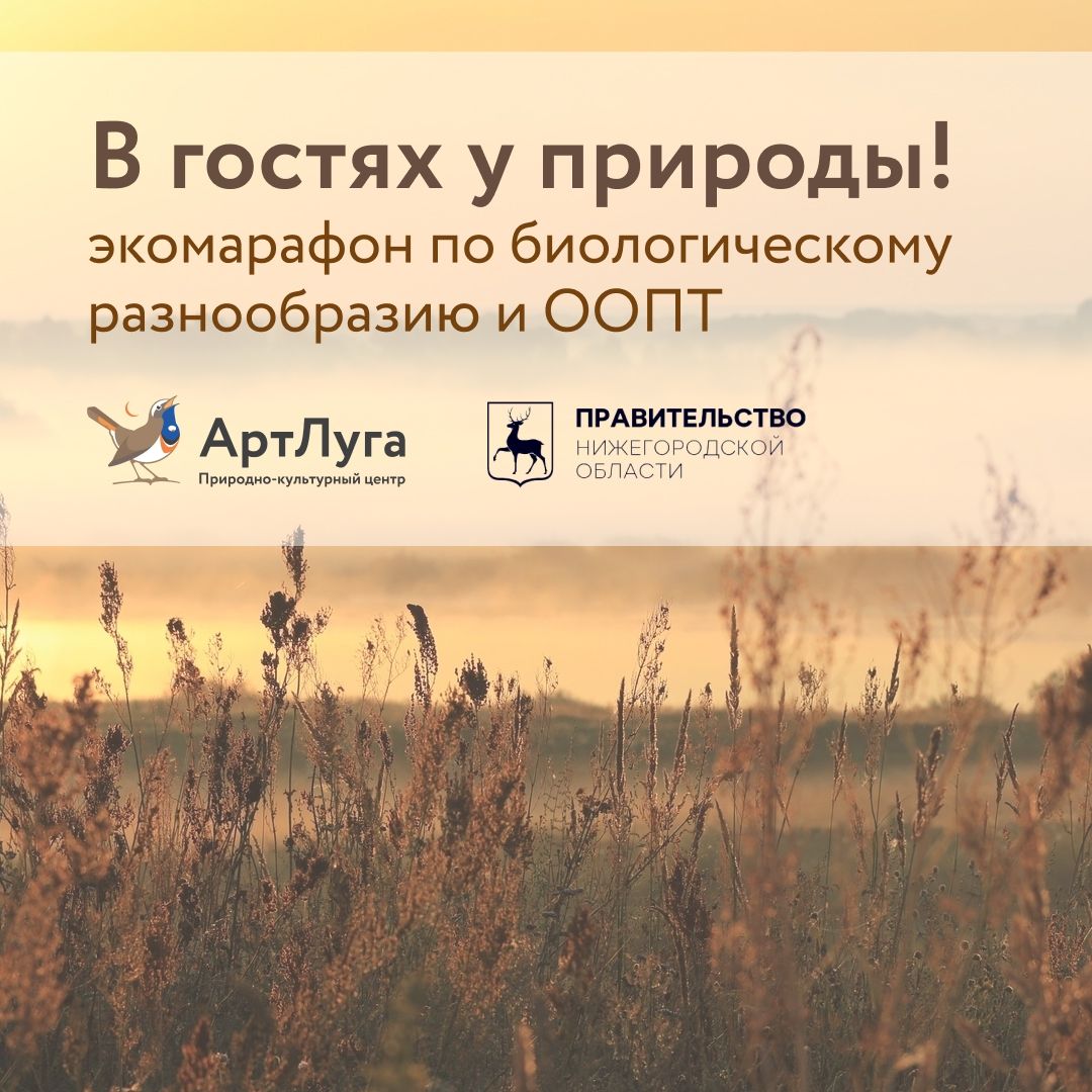 Нижегородцев приглашают присоединиться к семейному экомарафону по сохранению природного наследия«В гостях у природы»