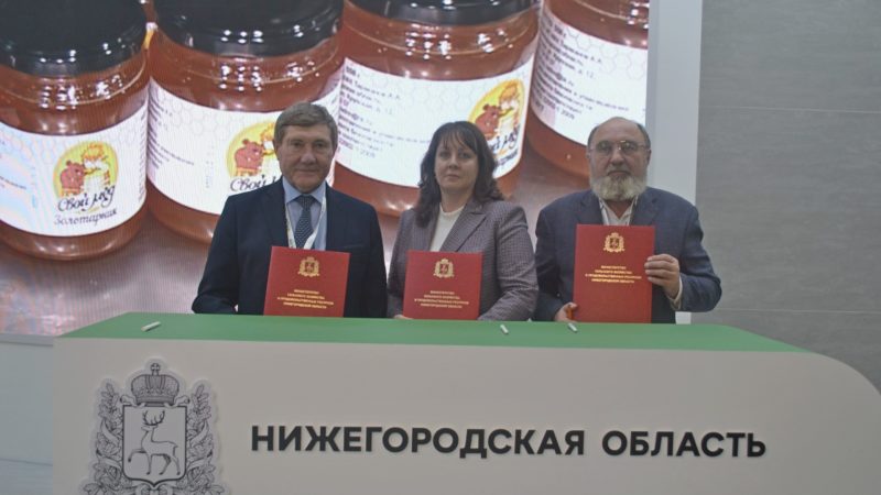 Нижегородская агрофирма планирует построить ферму на 2,4 тысячи голов в Сосновском округе