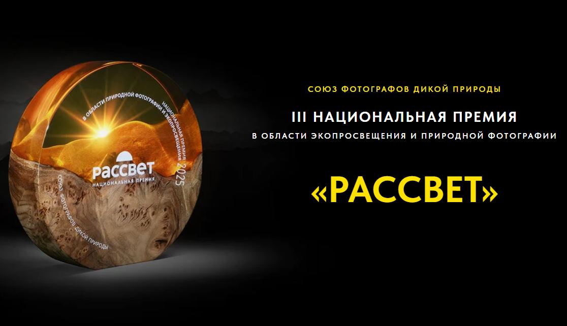 Нижегородцы могут подать заявки на национальную премию в области экопросвещения и природной фотографии «Рассвет»