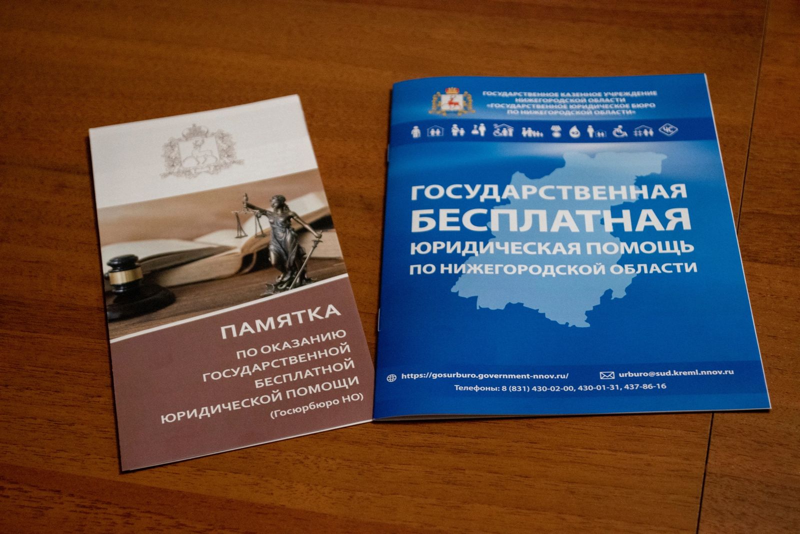 Сотрудники нижегородского Госюрбюро проведут мероприятия в период Всероссийской недели правовой помощи детям