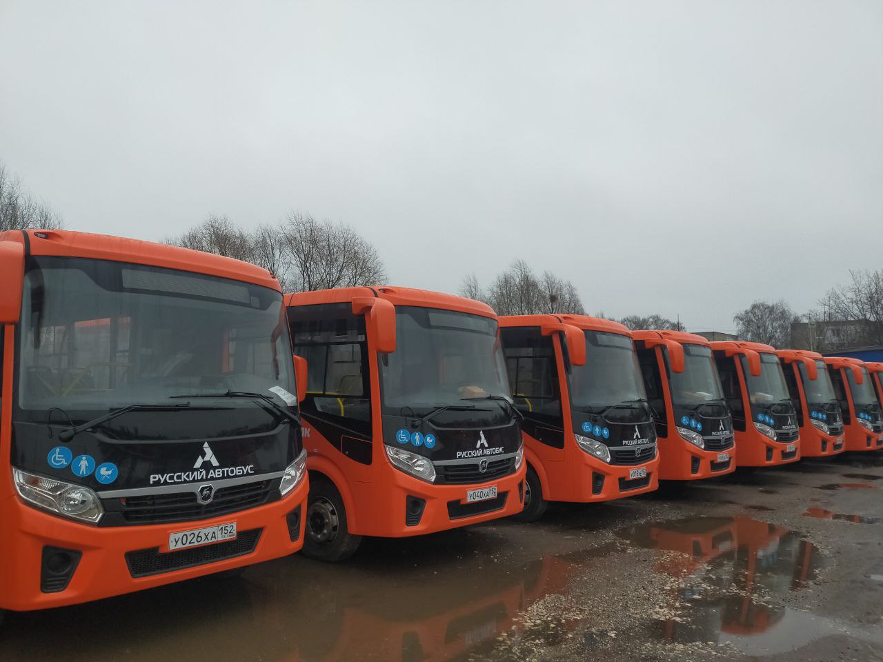 Еще 50 новых автобусов поступило в Нижний Новгород