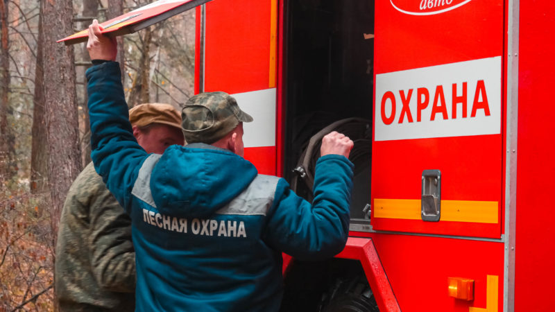 Нижегородская область присоединилась к федеральной акции «Останови огонь!»