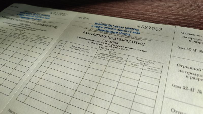 Нижегородский Минлесхоз 20 марта начинает выдавать разрешения на добычу пернатой дичи