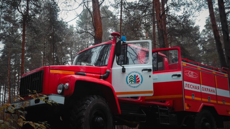 Нижегородская область по итогам проверки признана готовой к пожароопасному сезону