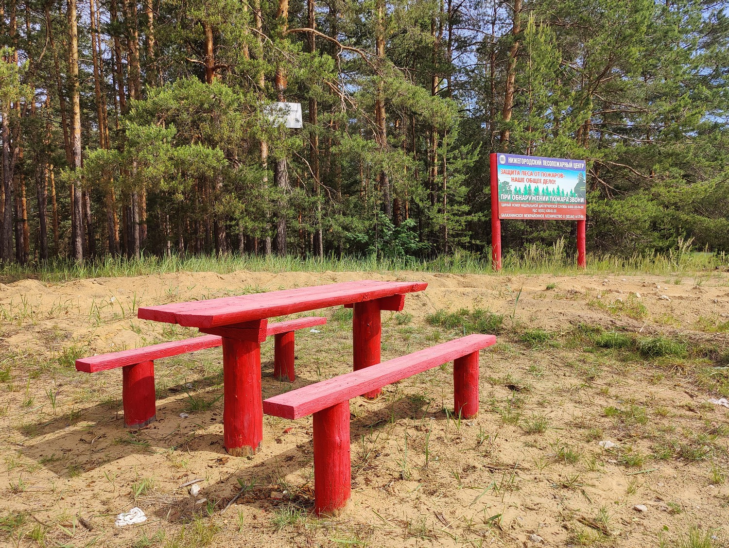 В лесах Нижегородской области оборудовано более трех тысяч мест отдыха для обеспечения пожарной безопасности