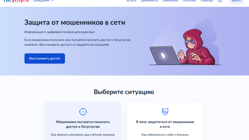 Цифровой сервис «Защита от мошенников в сети» доступен для нижегородцев на «Госуслугах»