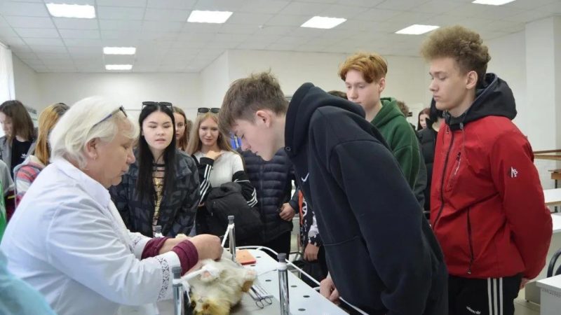 Почти 380 новых профильных классов открылись в нижегородских школах с начала учебного года