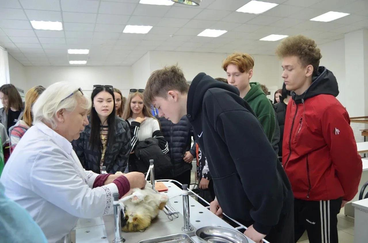Почти 380 новых профильных классов открылись в нижегородских школах с начала учебного года
