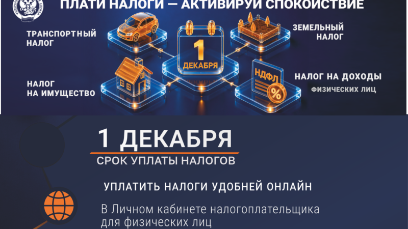 Нижегородцам напоминают о необходимости уплаты налогов до 1 декабря