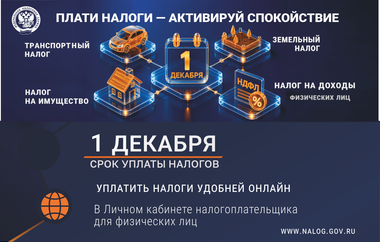 Нижегородцам напоминают о необходимости уплаты налогов до 1 декабря