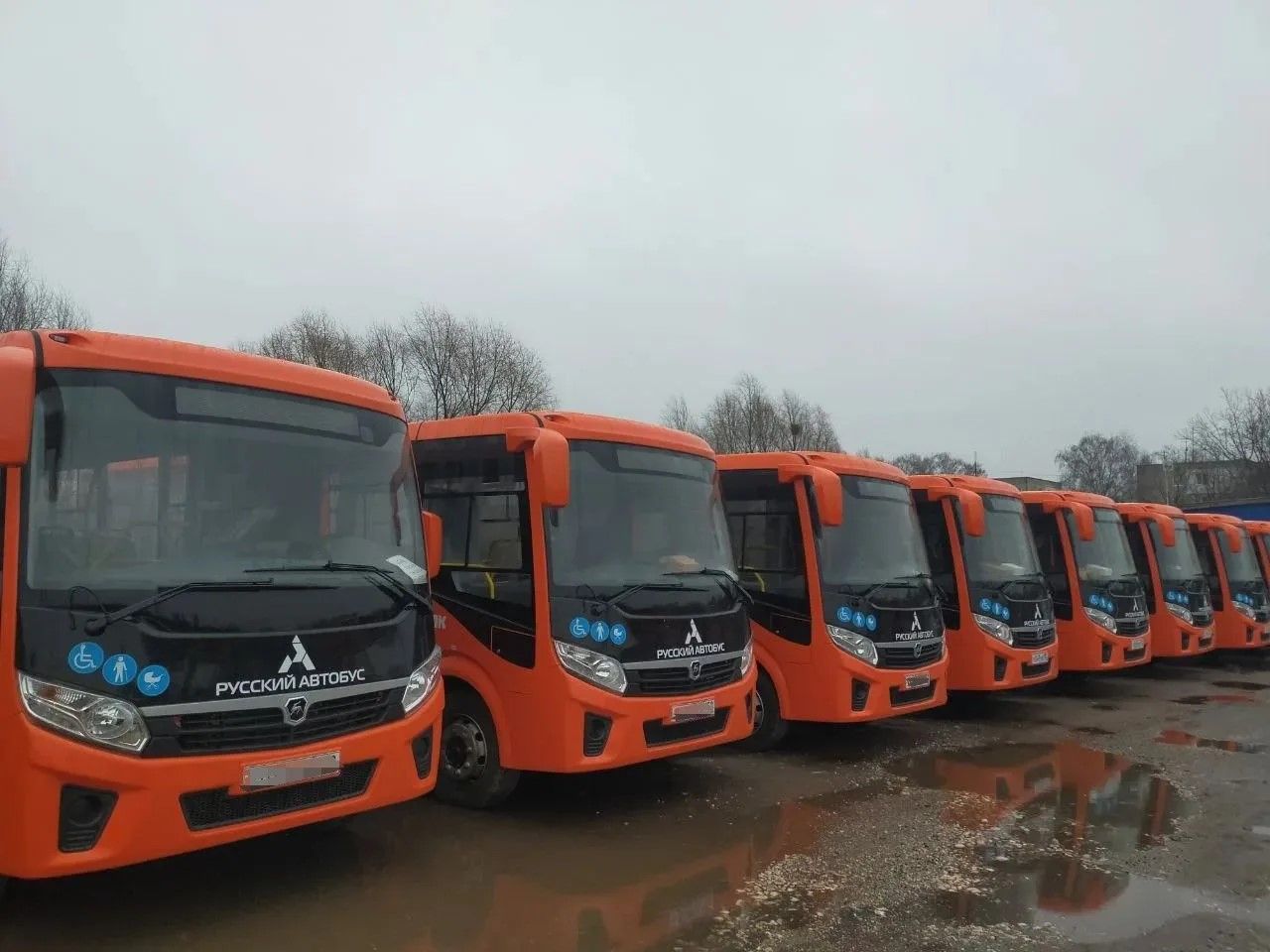 В Нижегородскую область поступили 25 новых автобусов в рамках нацпроекта «Инфраструктура для жизни»